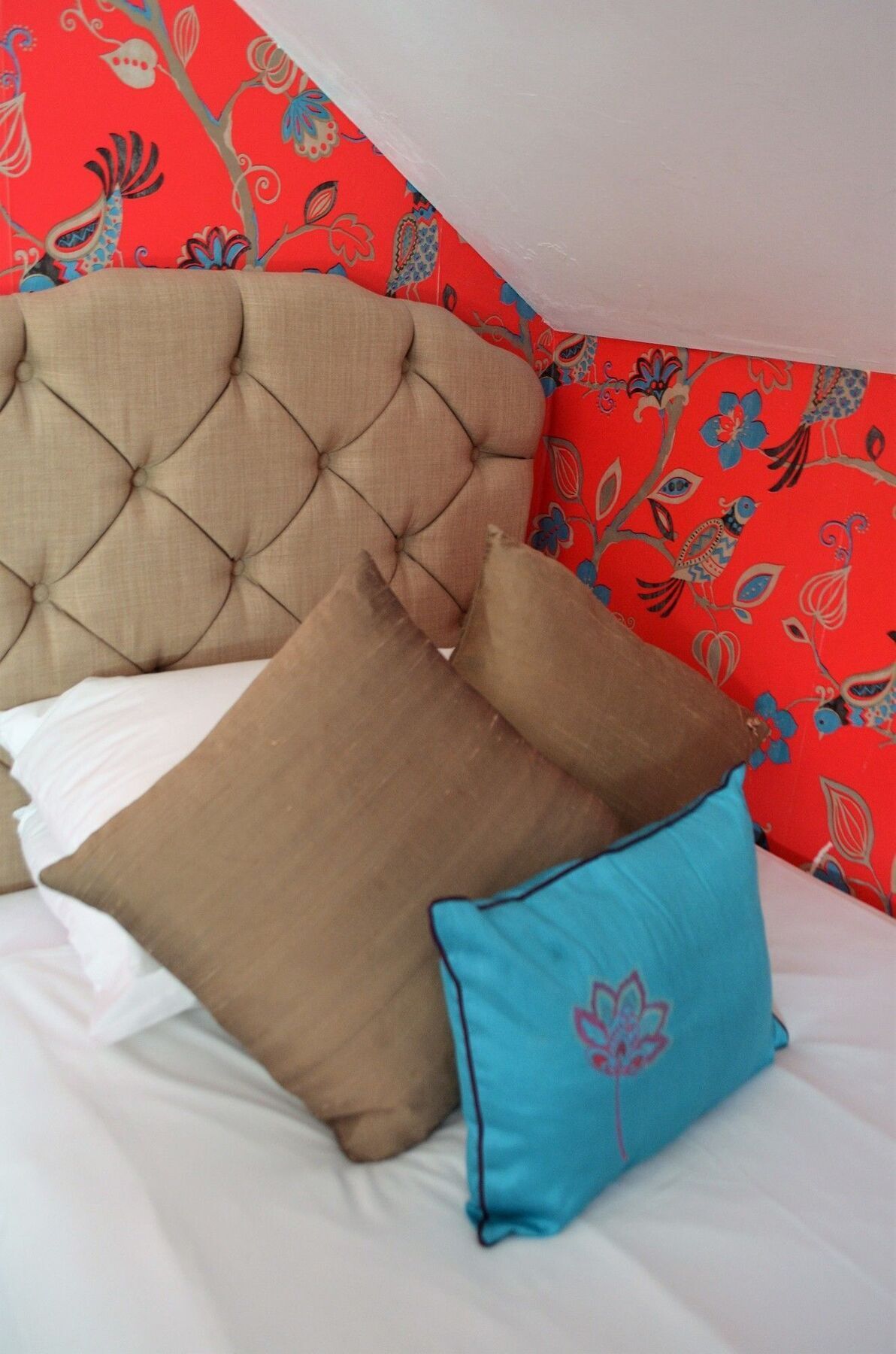 Holmlea Guest House يورك المظهر الخارجي الصورة
